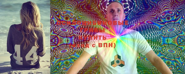 2c-b Каменногорск