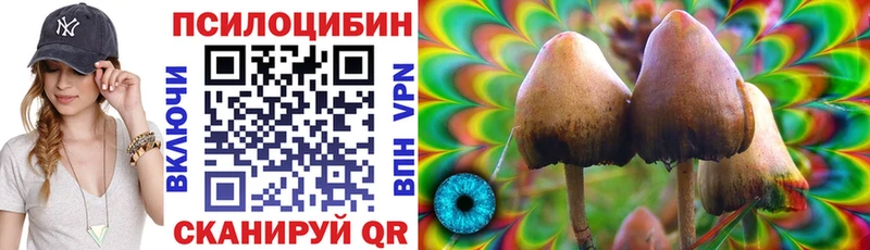 купить  цена  Костерёво  MEGA онион  Галлюциногенные грибы Psilocybine cubensis 